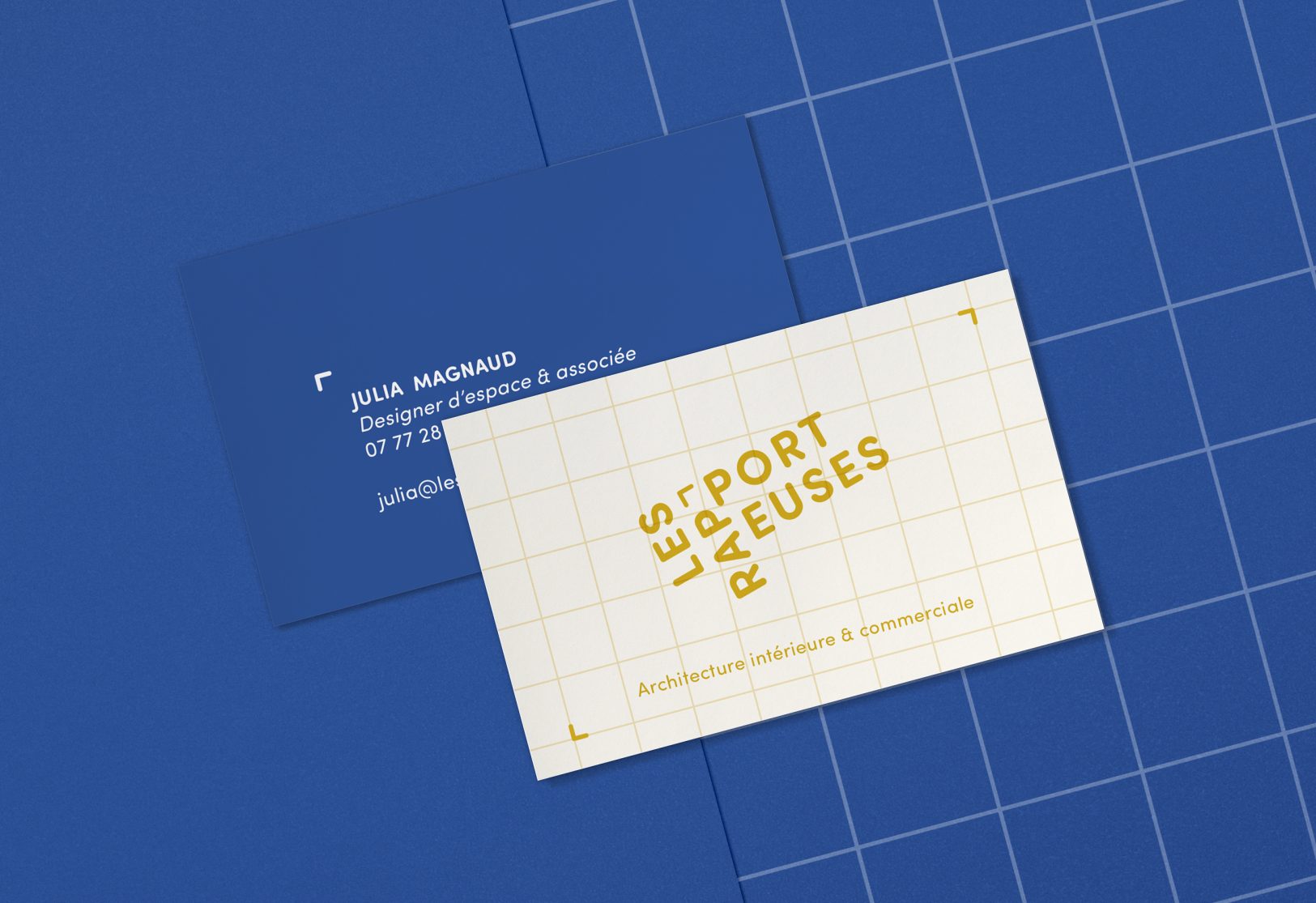 CDV-LesRapporteuses